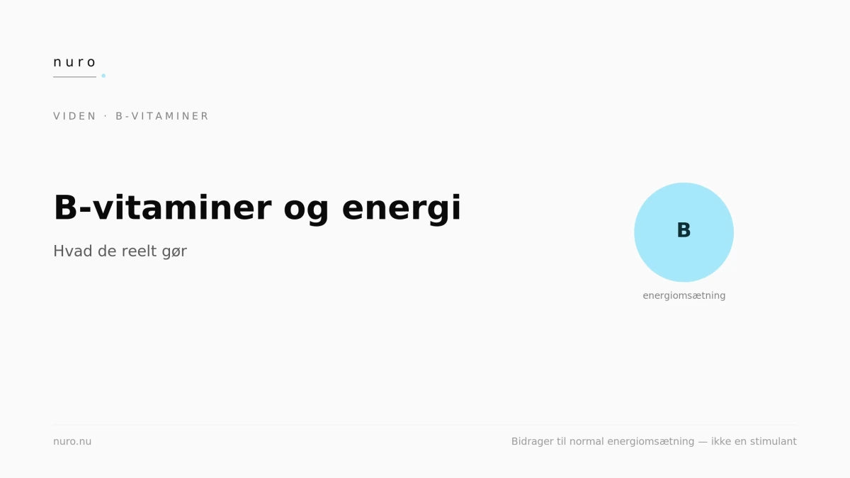 B-vitaminer og energi: hvad de reelt gør - Nuro
