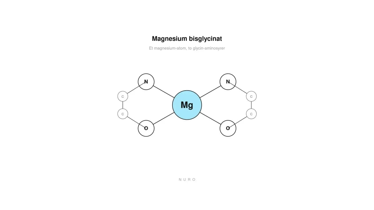 Chelateret magnesium: hvad bisglycinat og Albion® TRAACS® betyder, Nuro
