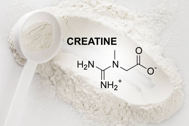 Creatine and Brain Health – What the Science Really Says - Nuro