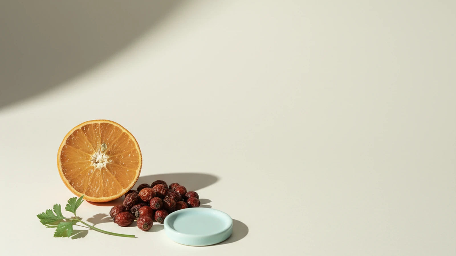 C-vitaminmangel og skørbug — Nuro Viden