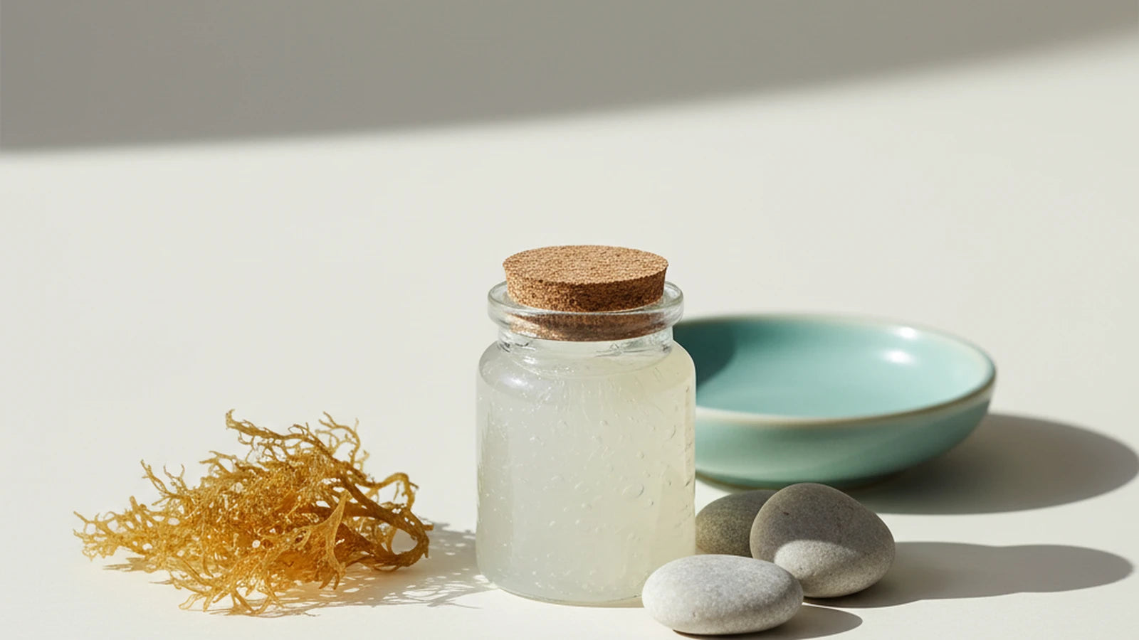 Sea moss — Nuro Viden