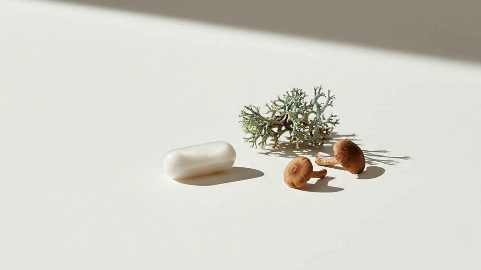 Vegansk D-vitamin — Nuro Viden