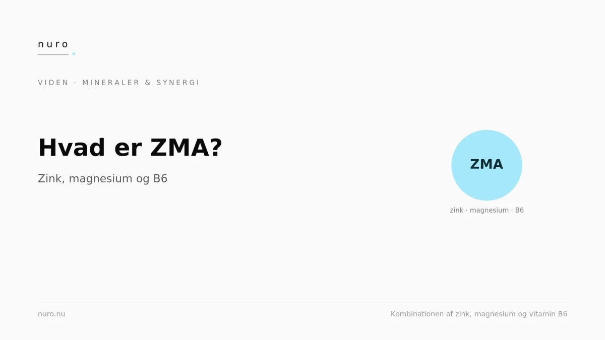 Hvad er ZMA? Zink, magnesium og B6 - Nuro