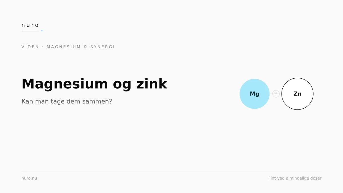 Magnesium og zink: kan man tage dem sammen? - Nuro