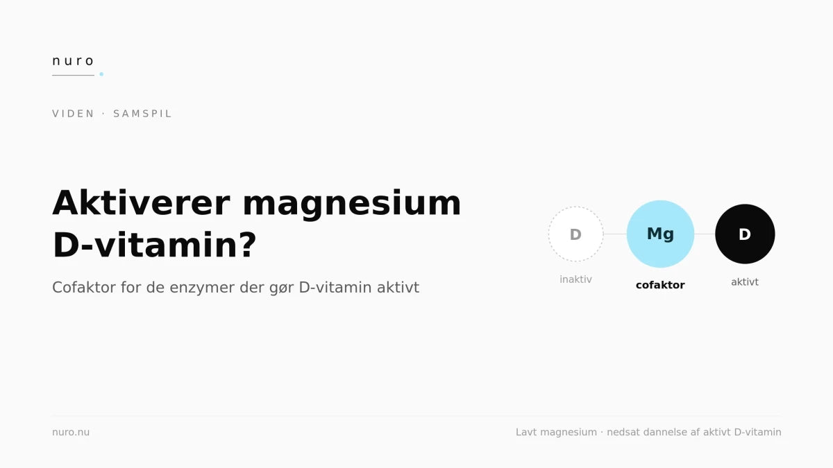Aktiverer magnesium D-vitamin? Sådan hænger de sammen - Nuro