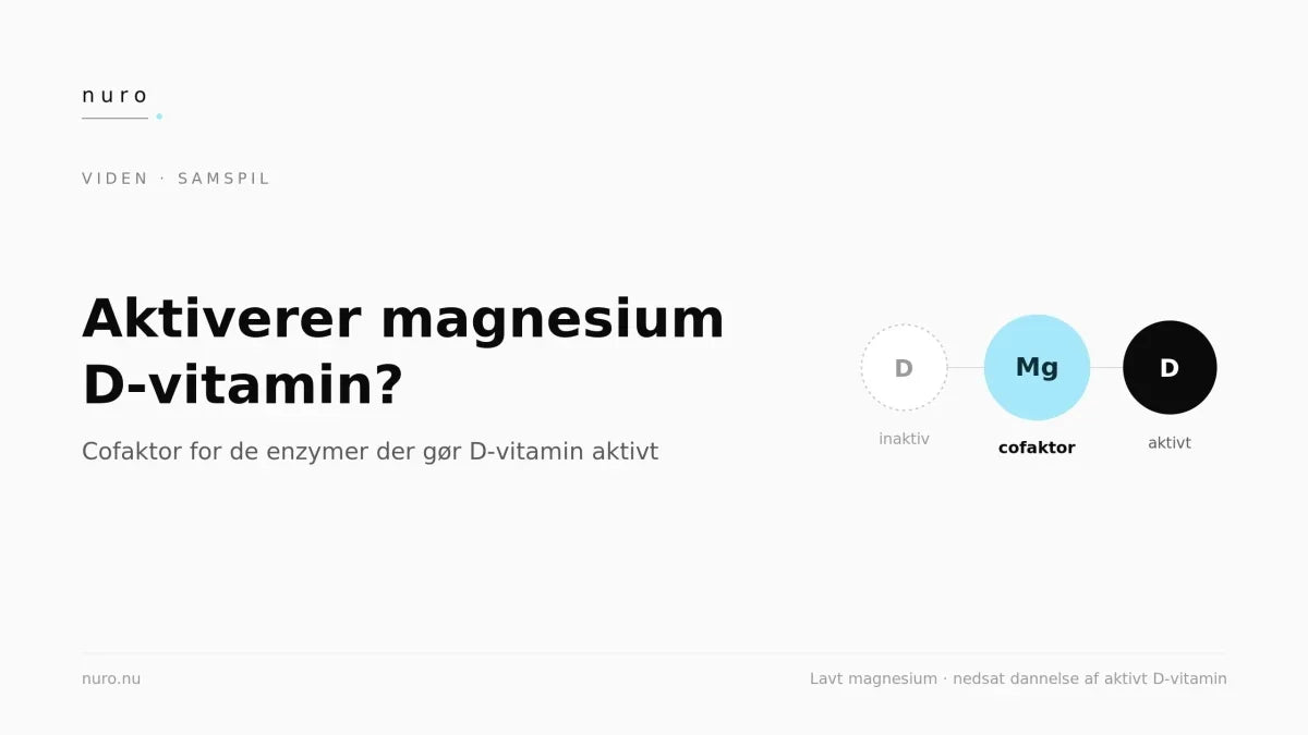 Illustration til artiklen »Aktiverer magnesium D-vitamin? Det beskriver forskningen«