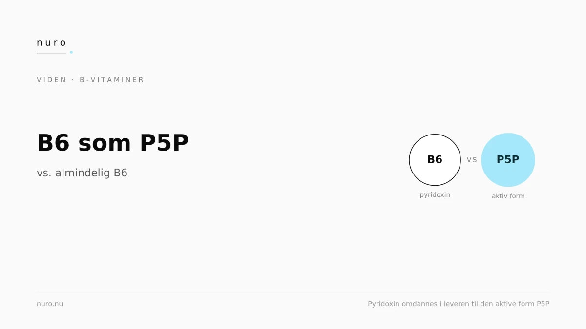 B6 som P5P vs. almindelig B6 - Nuro