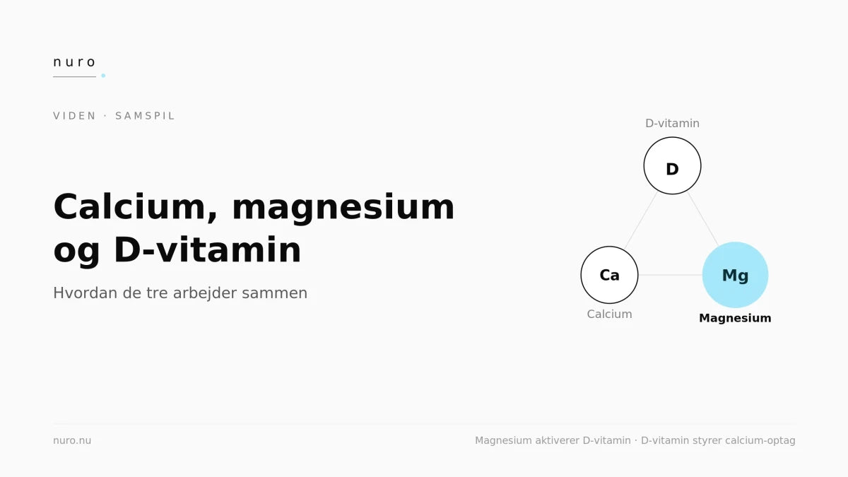 Calcium, magnesium og D-vitamin: hvordan de tre arbejder sammen - Nuro