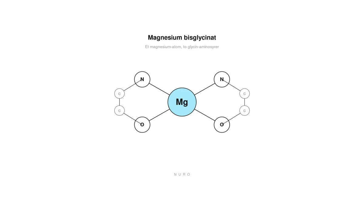 Chelateret magnesium: Hvad bisglycinat og Albion® TRAACS® reelt betyder - Nuro