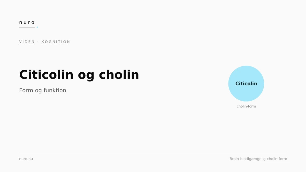 Citicolin og cholin: form og funktion - Nuro
