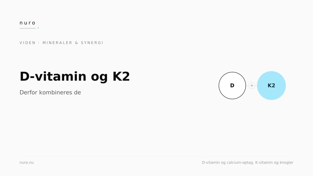 D-vitamin og K2: derfor kombineres de - Nuro