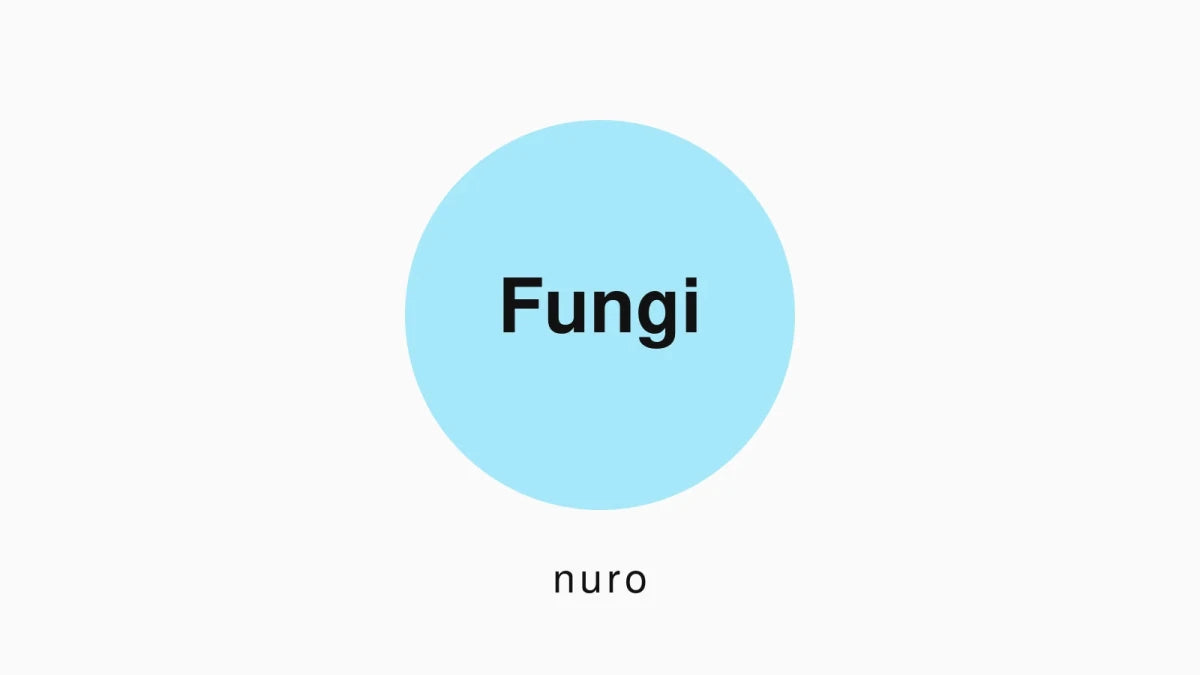 Funktionelle svampe: den komplette guide - Nuro