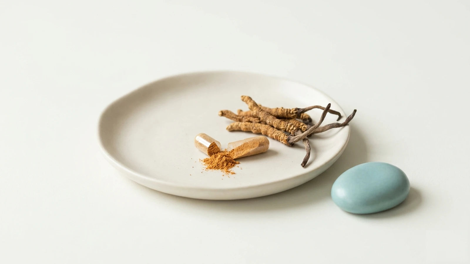 Cordyceps og mandlig vitalitet — Nuro Viden
