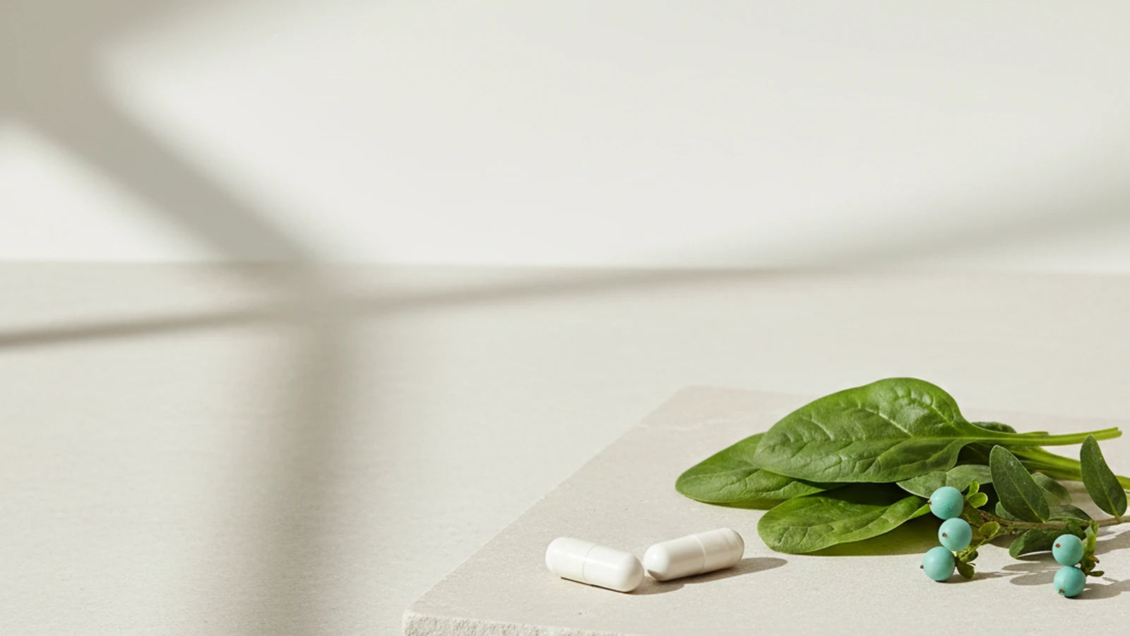 Folsyre vs. methylfolat — Nuro Viden