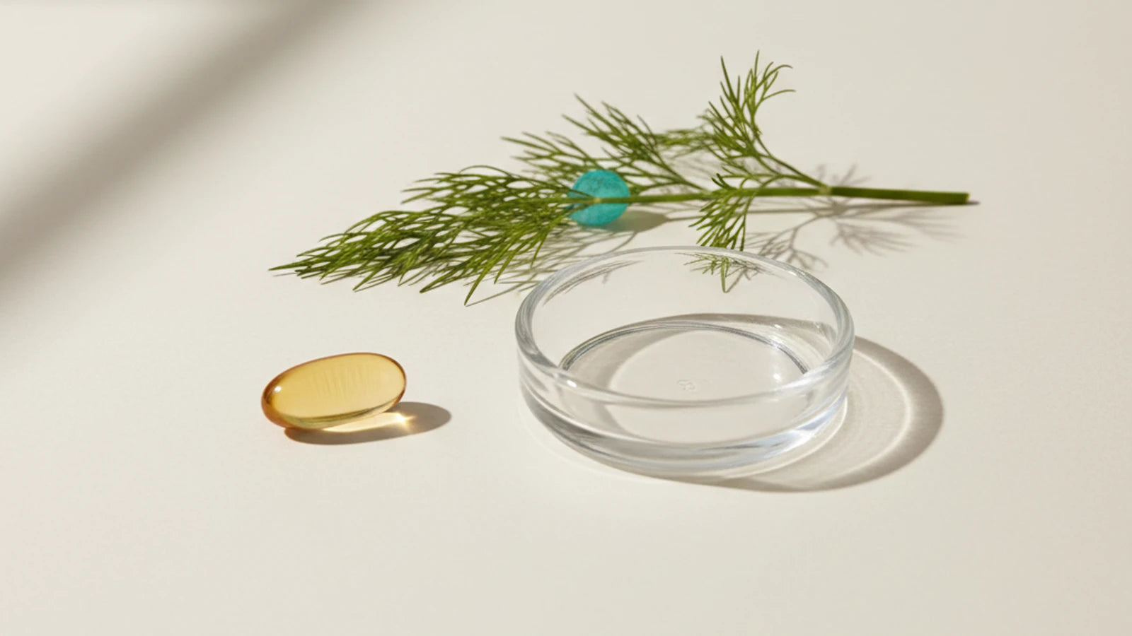 Omega-3-mangel — tegn og risiko — Nuro Viden