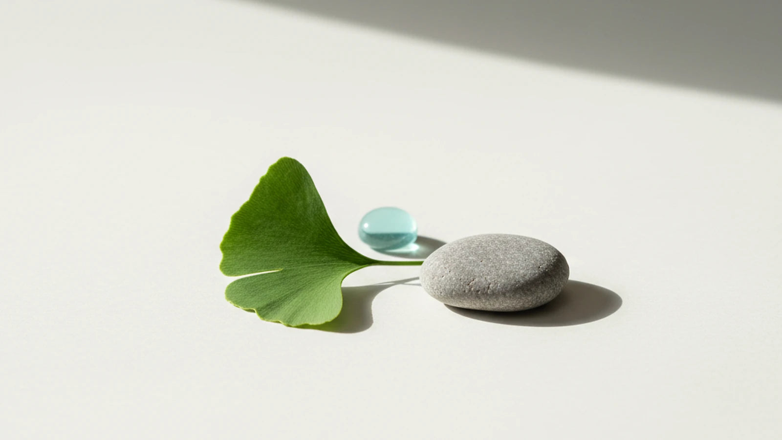 Vitamin vs. mineral — Nuro Viden