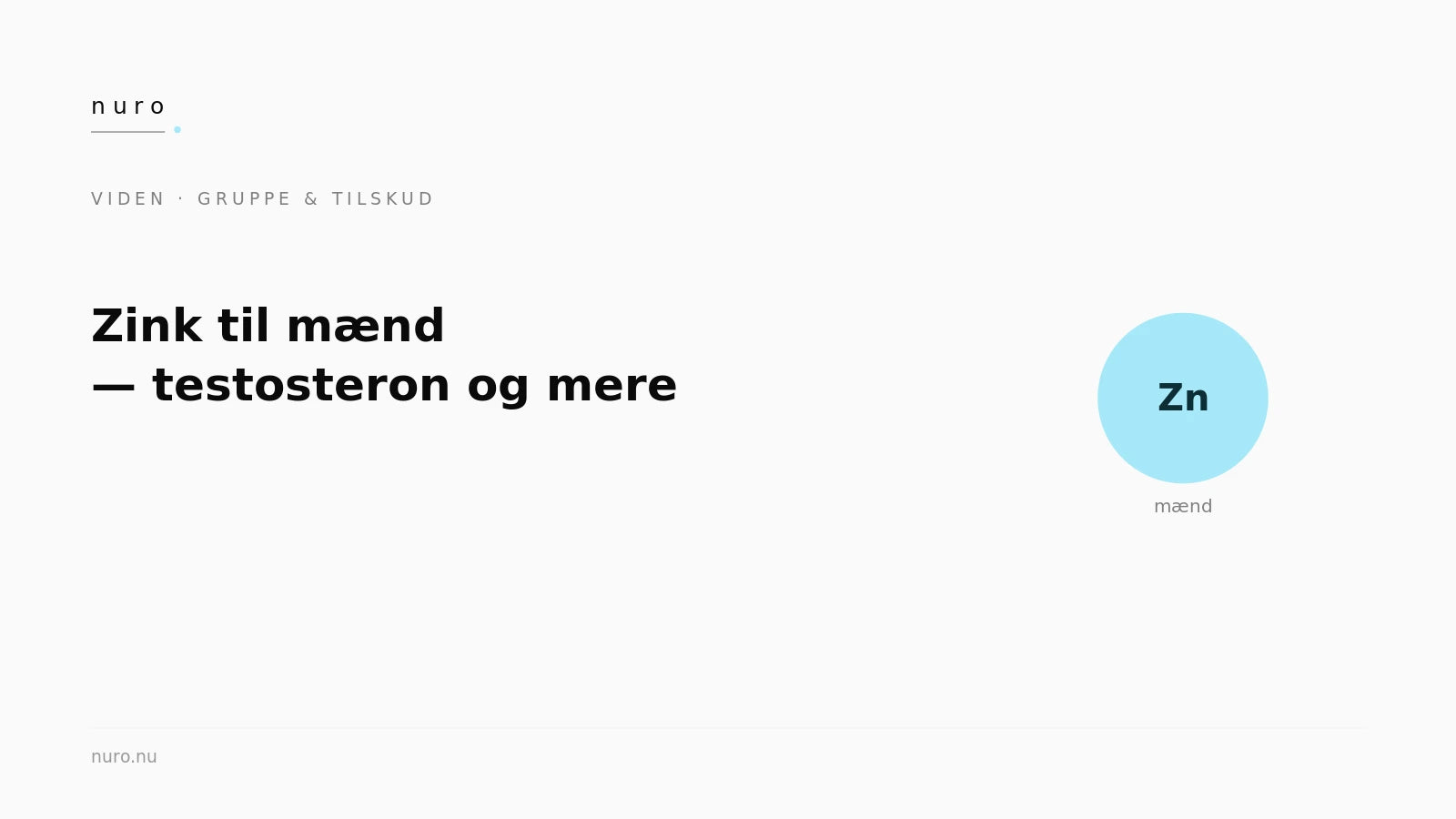 Zink til mænd — Nuro Viden