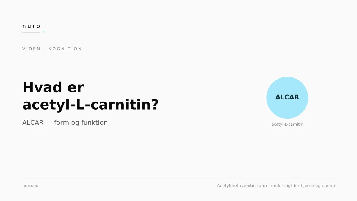 Hvad er acetyl-L-carnitin (ALCAR)? - Nuro