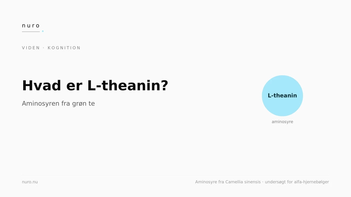 Hvad er L-theanin? - Nuro
