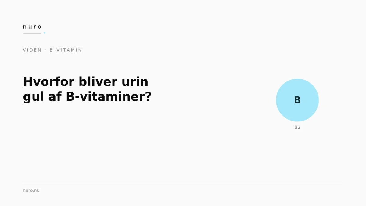 Hvorfor bliver urinen gul af B-vitaminer? - Nuro