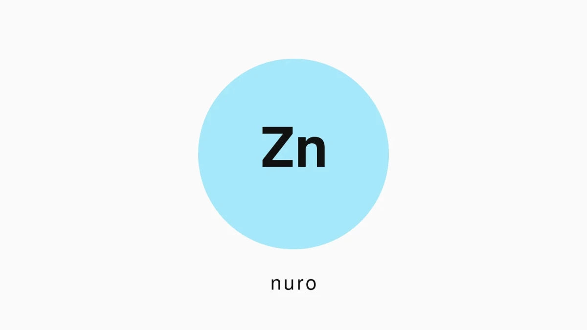 Zink: den komplette guide - Nuro